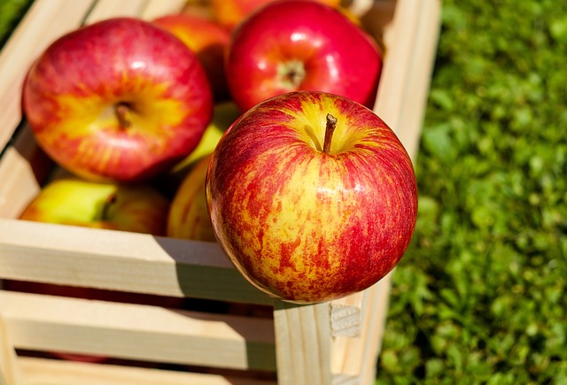 Jak prawidłowo powinniśmy przechowywać jabłka?